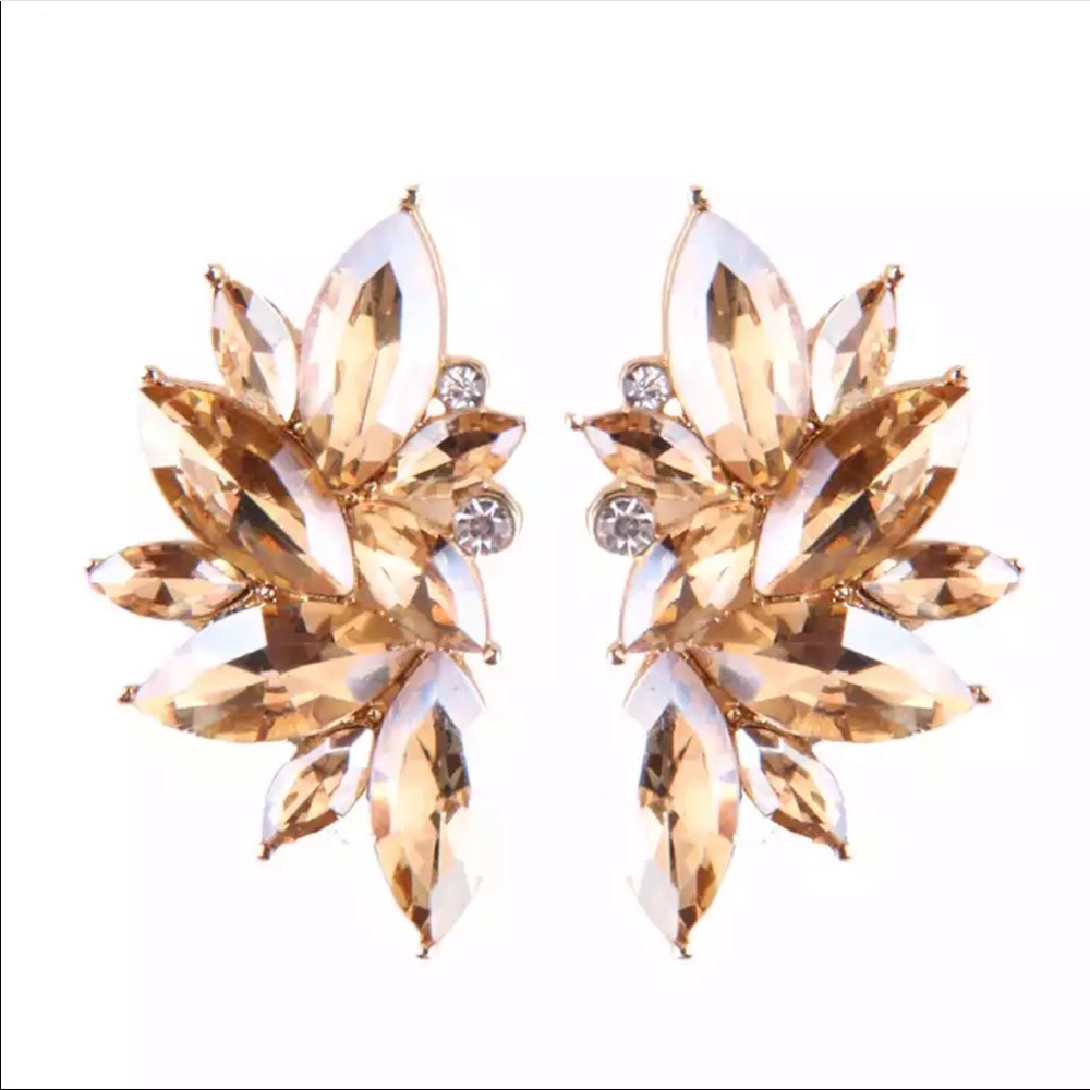 NEW 👑ROYALTY JEWELS 💎 taupe Crystal Earrings
